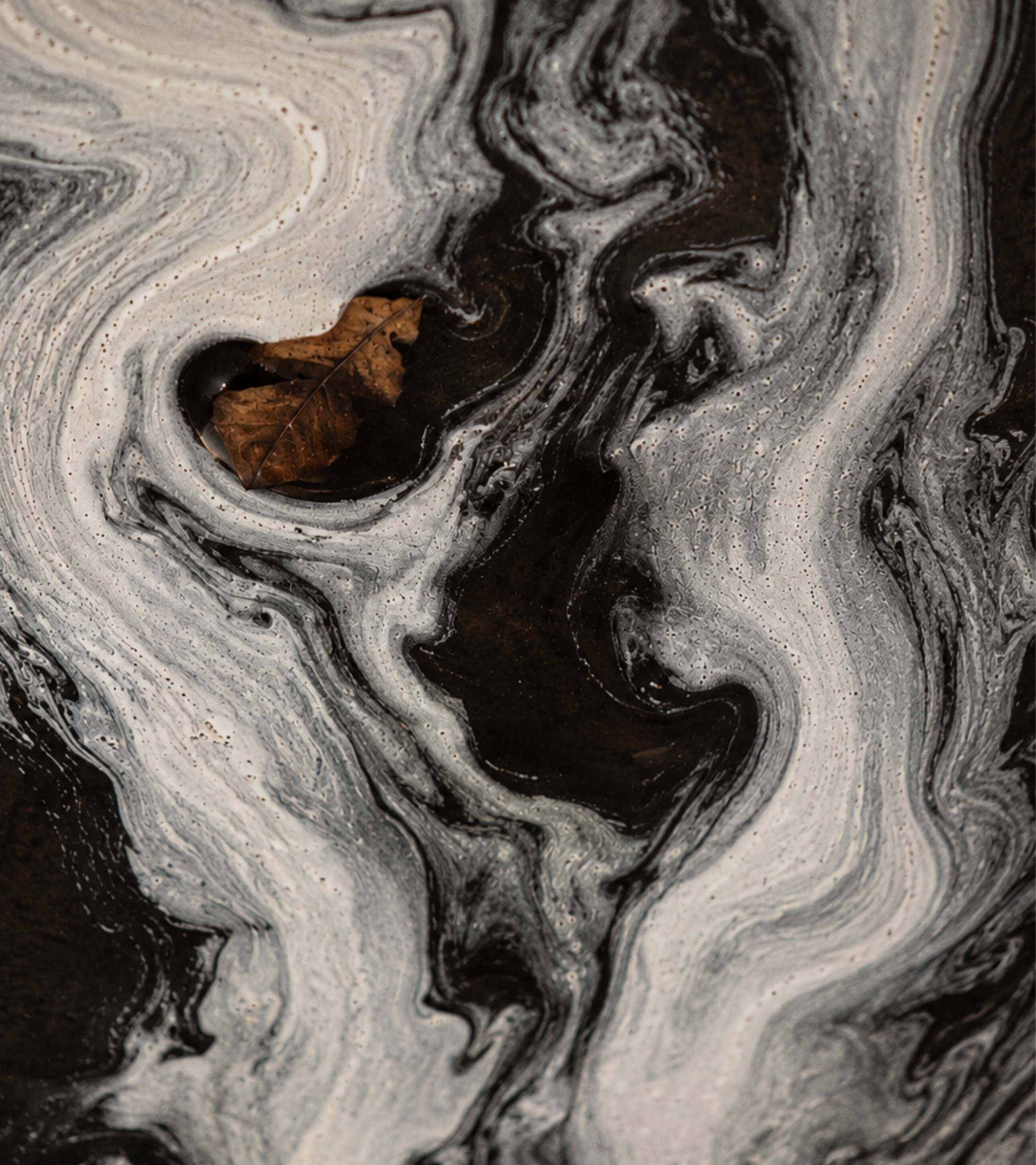 Natural texture — flowing paint and a dry leaf
