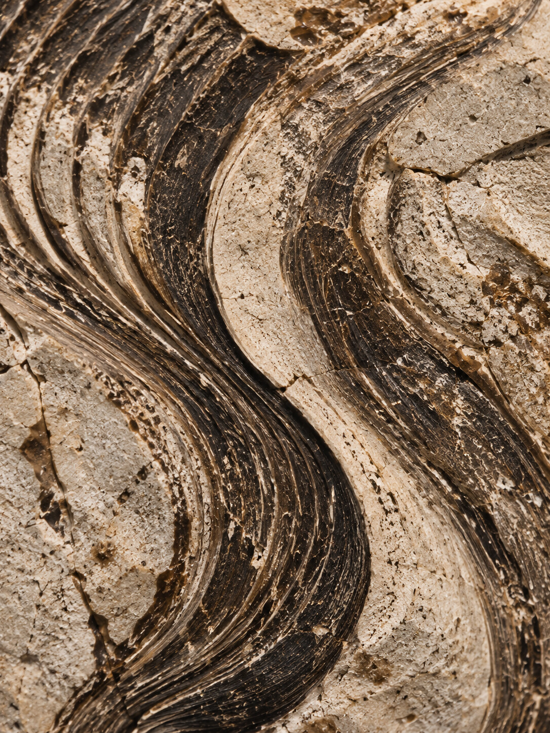 Natural texture — dark traces flowing through pale stone